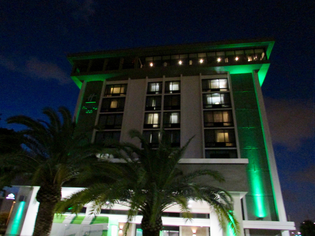 迈阿密国际机场假日酒店主图