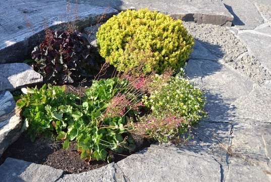 Walkerton Heritage Water Garden-沃克顿必去景点