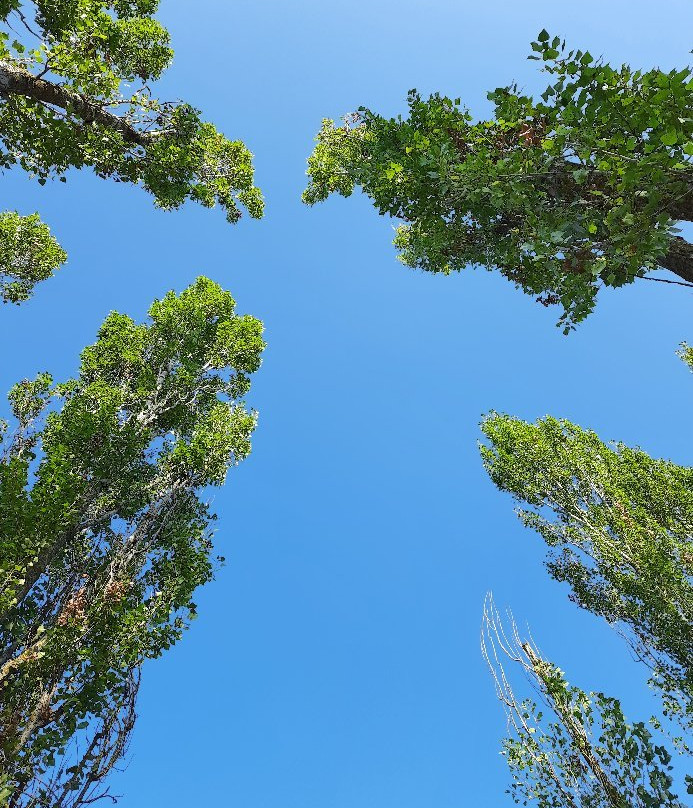 Percorso Verde-佩鲁贾必去景点