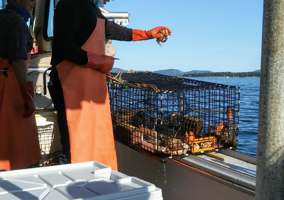 Acadia Fishing Tours景点图片