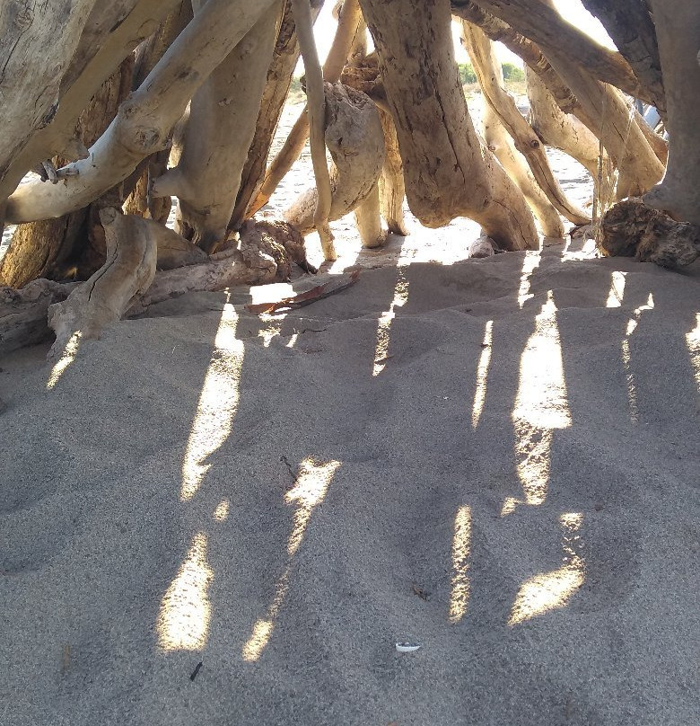 Spiaggia delle Capanne-Principina a Mare必去景点