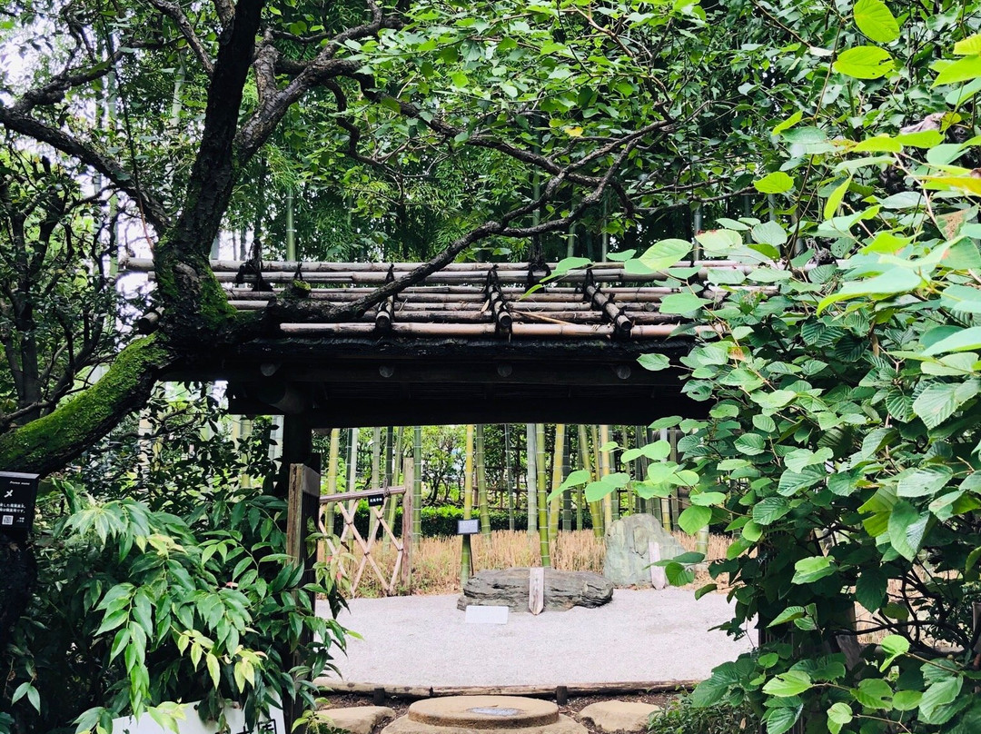 Akatsuka Botanical Gardens-板桥区必去景点