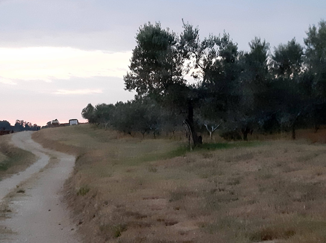 Podere L'Agave主图