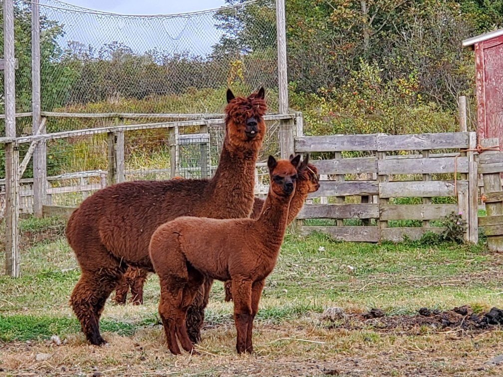 Hooking by the Sea - Brierwood Farm Retreat主图