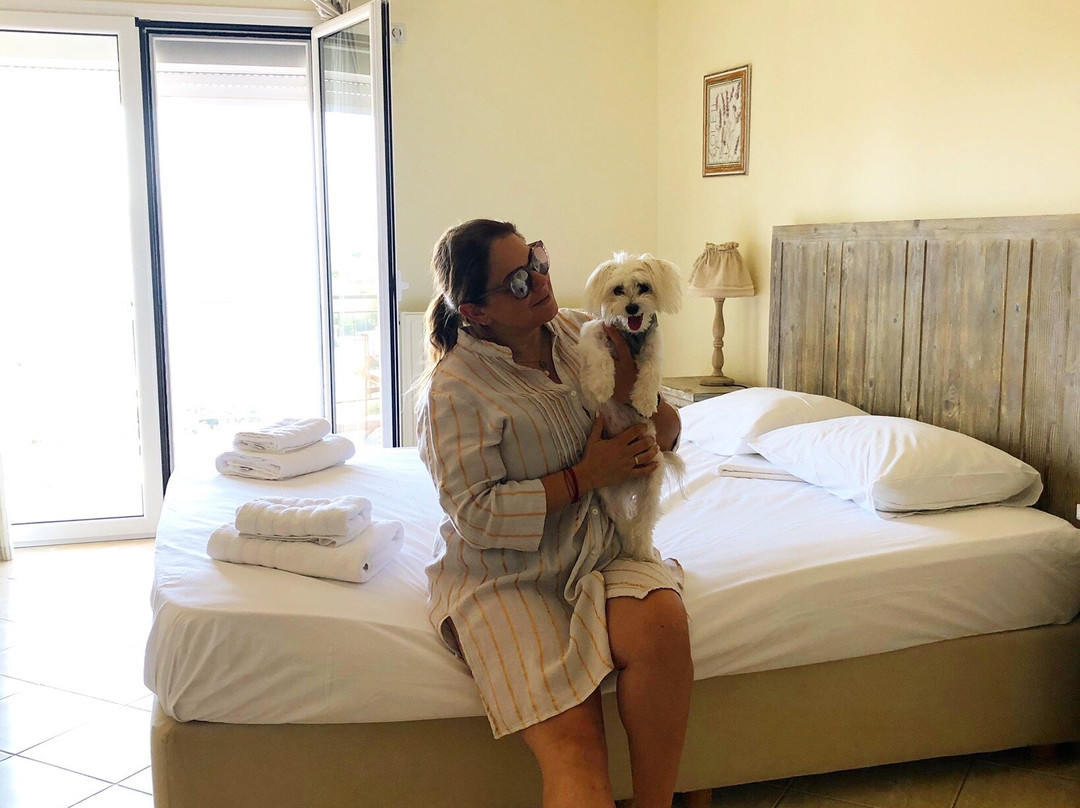 Triantafilia Guesthouse主图