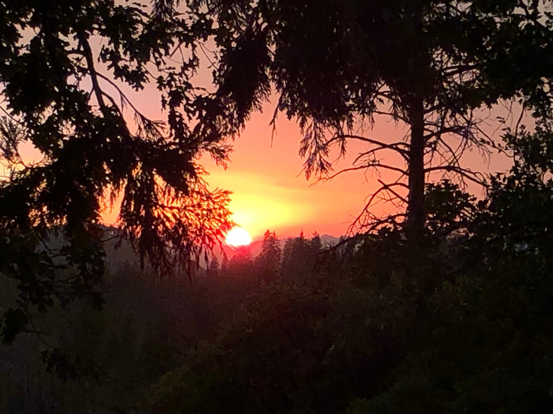 优胜美地长青旅舍主图