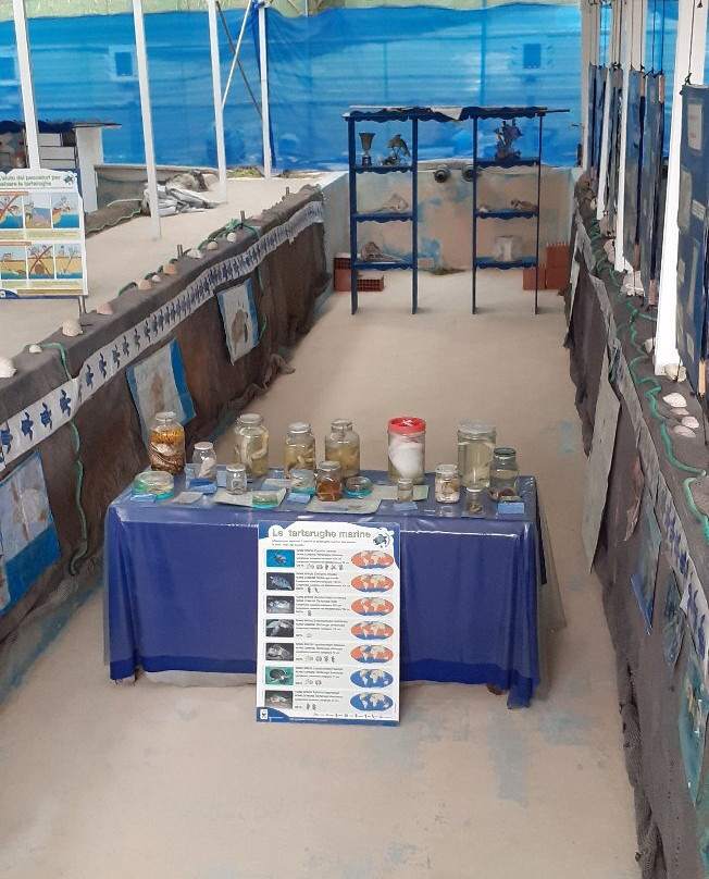 Centro Recupero Tartarughe Marine景点图片