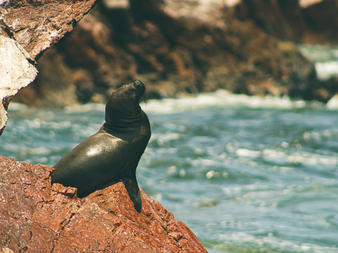 Lima Highlights Travel & Tours-利马必去景点