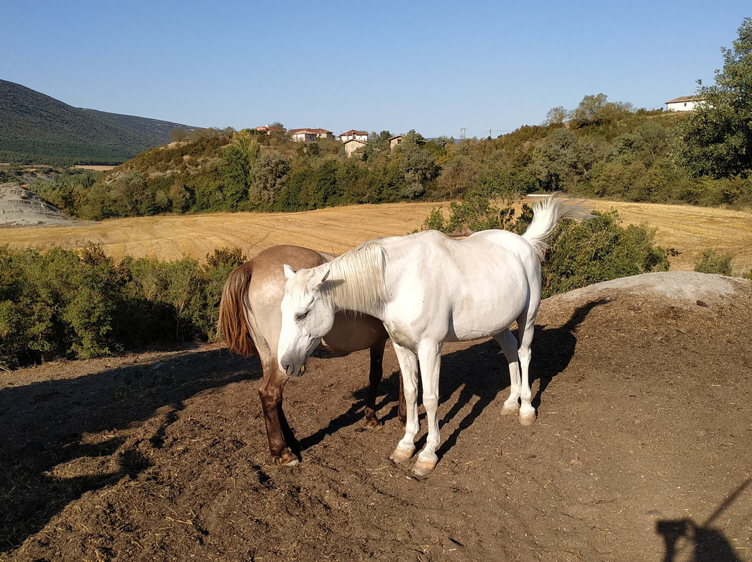 Foz de Arbayun-Lumbier必去景点