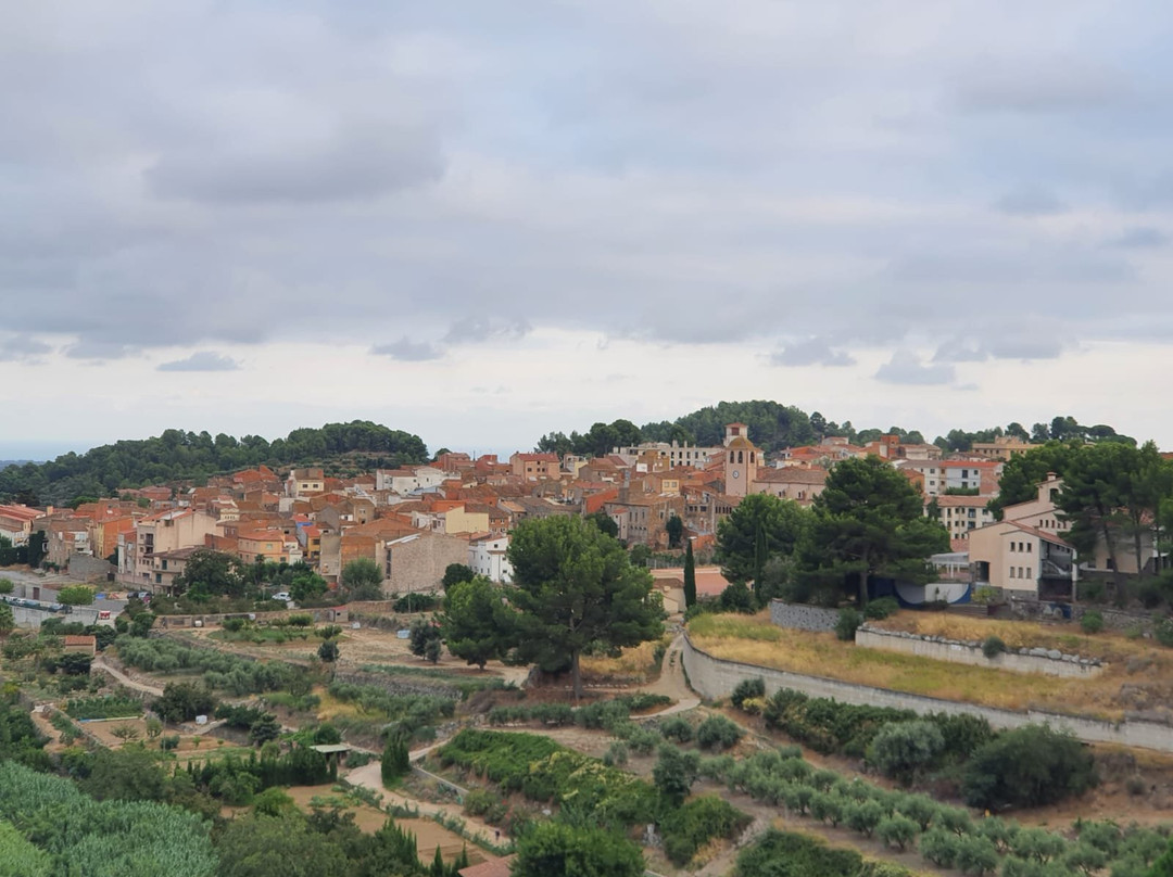 Pantà De Riudecanyes景点图片