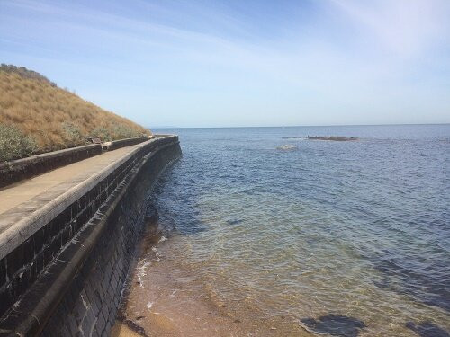 Black Rock Beach景点图片