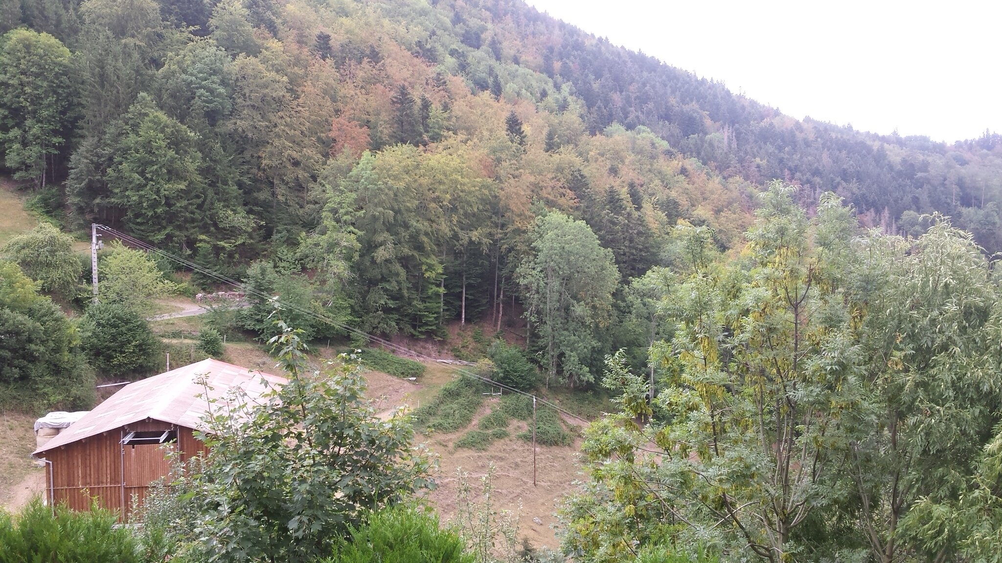 米尔巴舍尔客栈-酒店景观