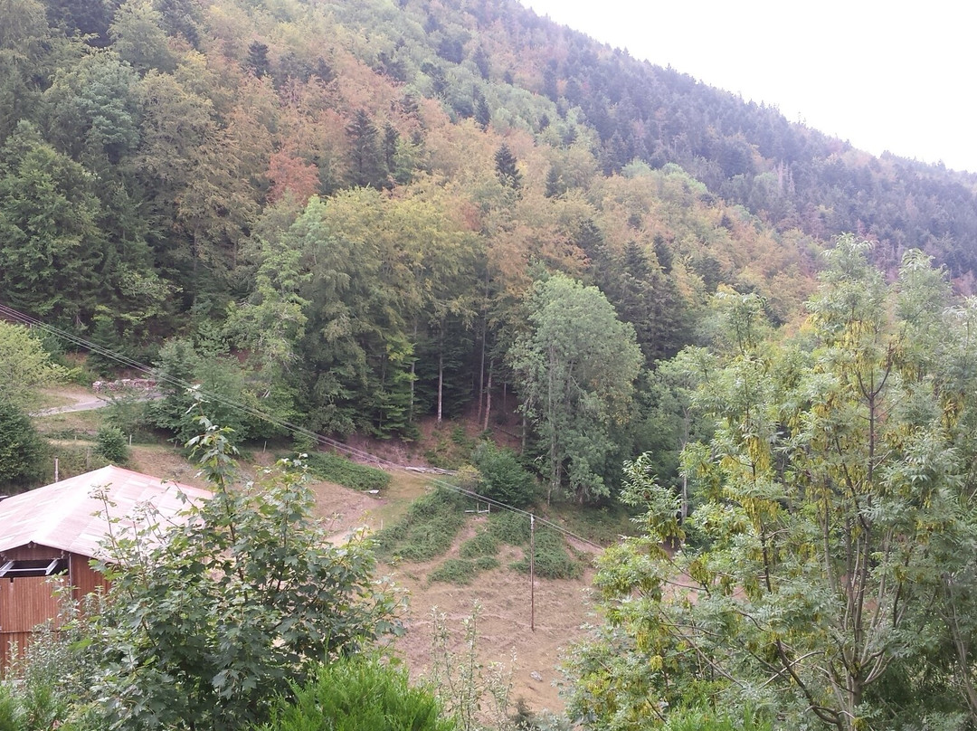 米尔巴舍尔客栈主图