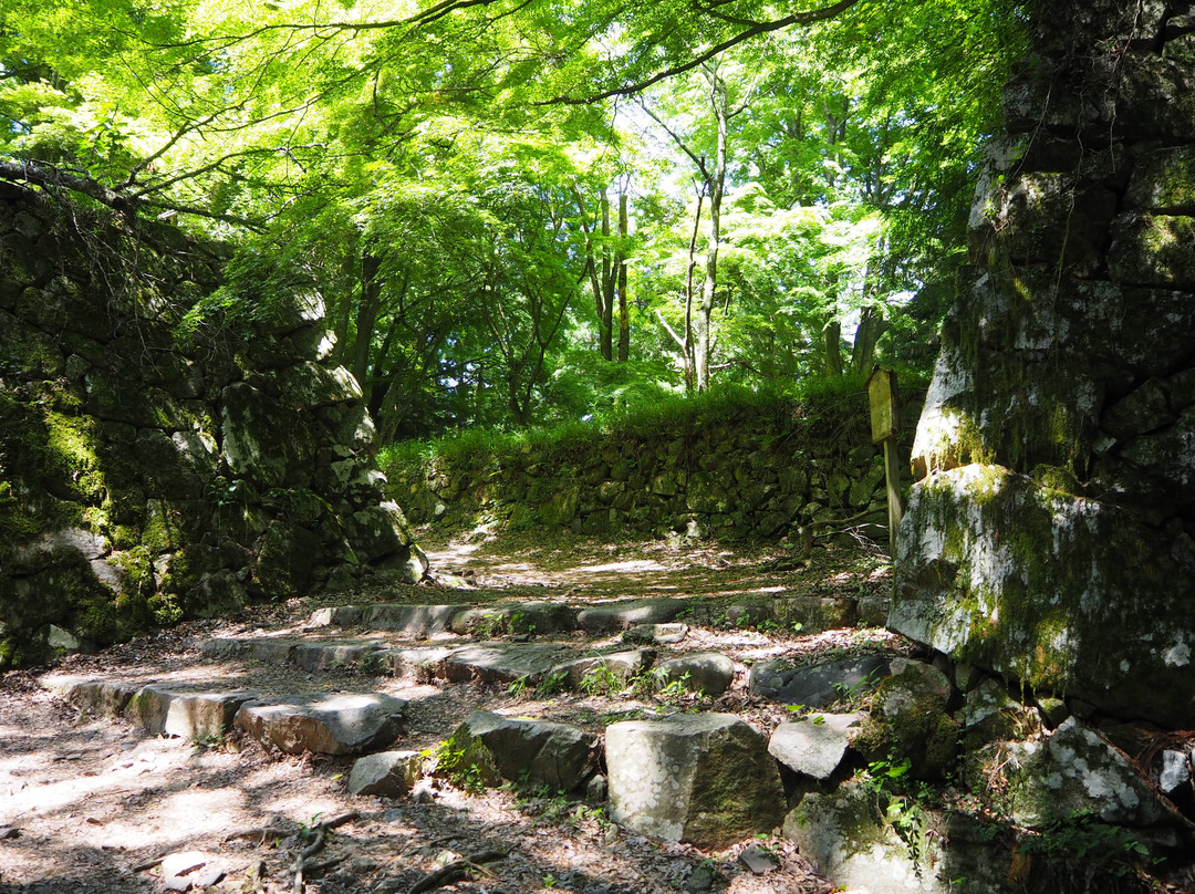 Takatori Castle Ruins-高取町必去景点