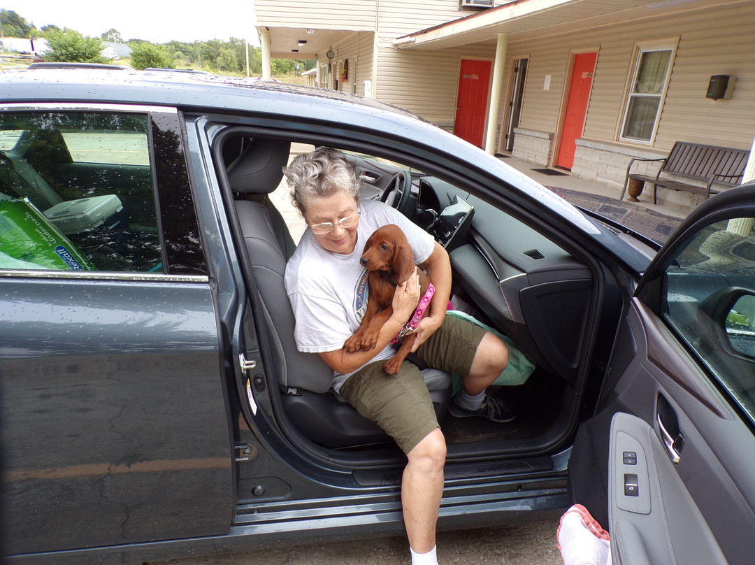 Best Budget Inn主图