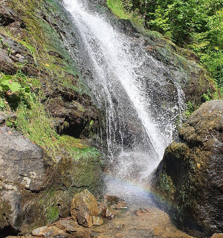 Lotrisor Waterfall景点图片