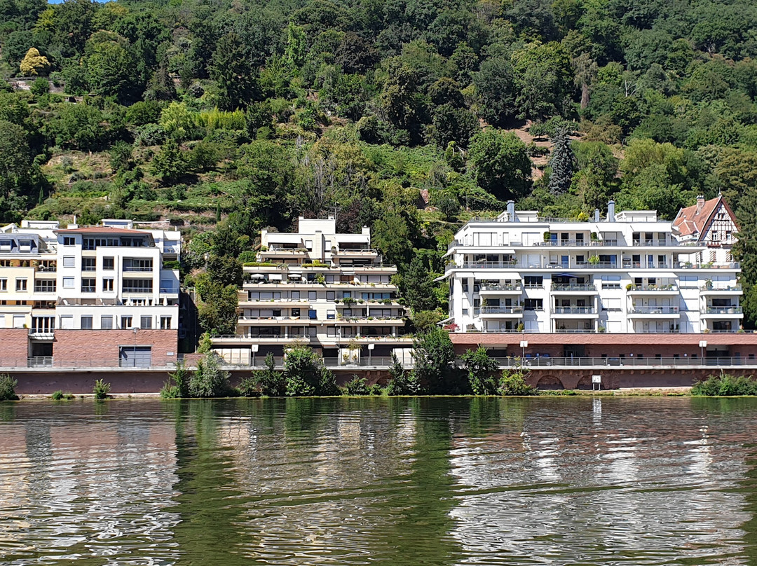 Neckar River-海德尔堡必去景点
