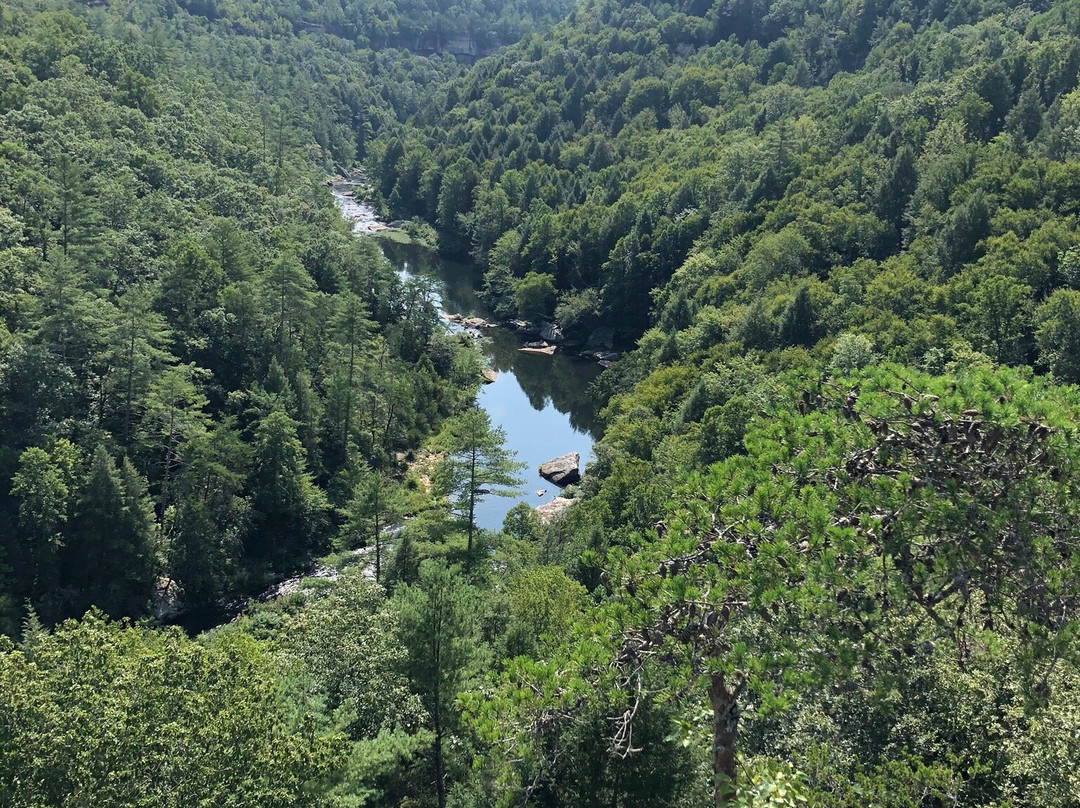 Obed Wild & Scenic River-Wartburg必去景点