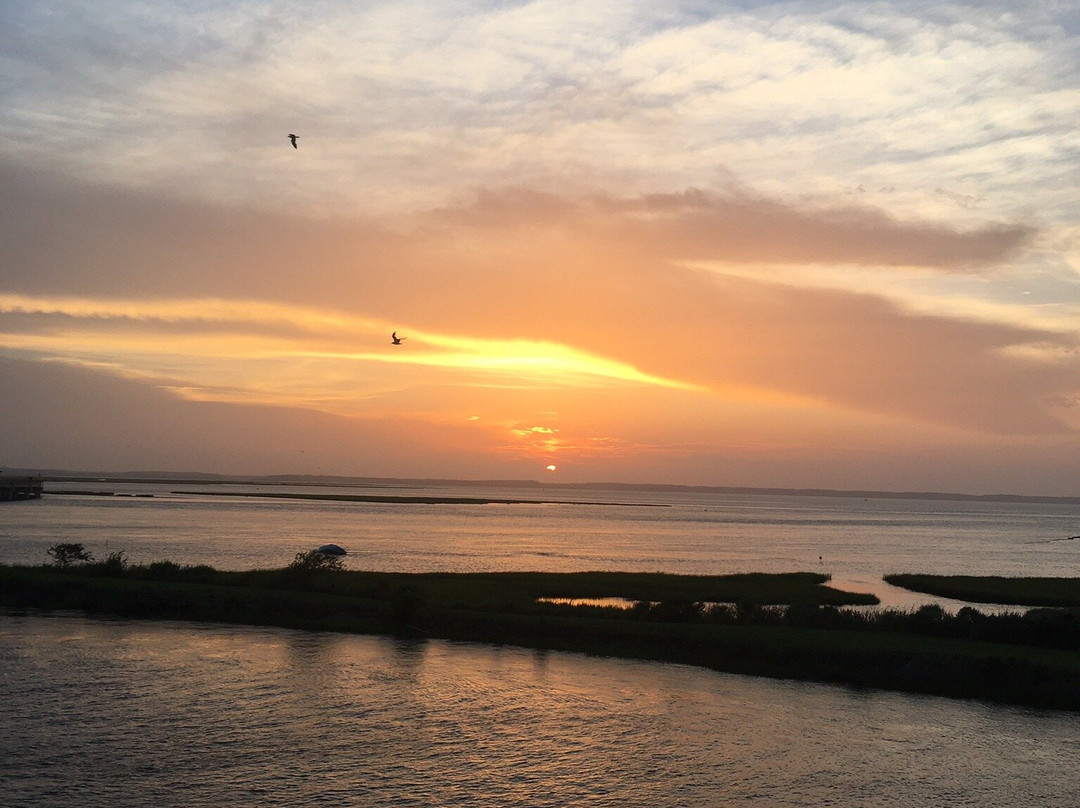 Island Motor Inn Resort主图