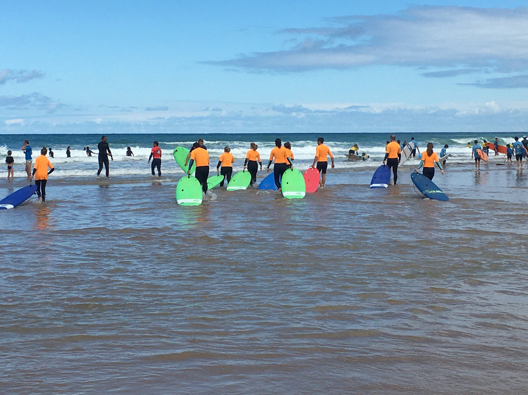 Aquality Surf School景点图片