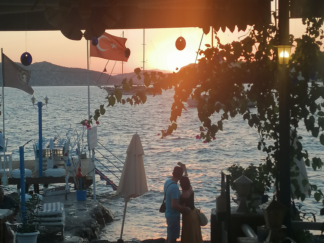 Yasemin Pansiyon主图