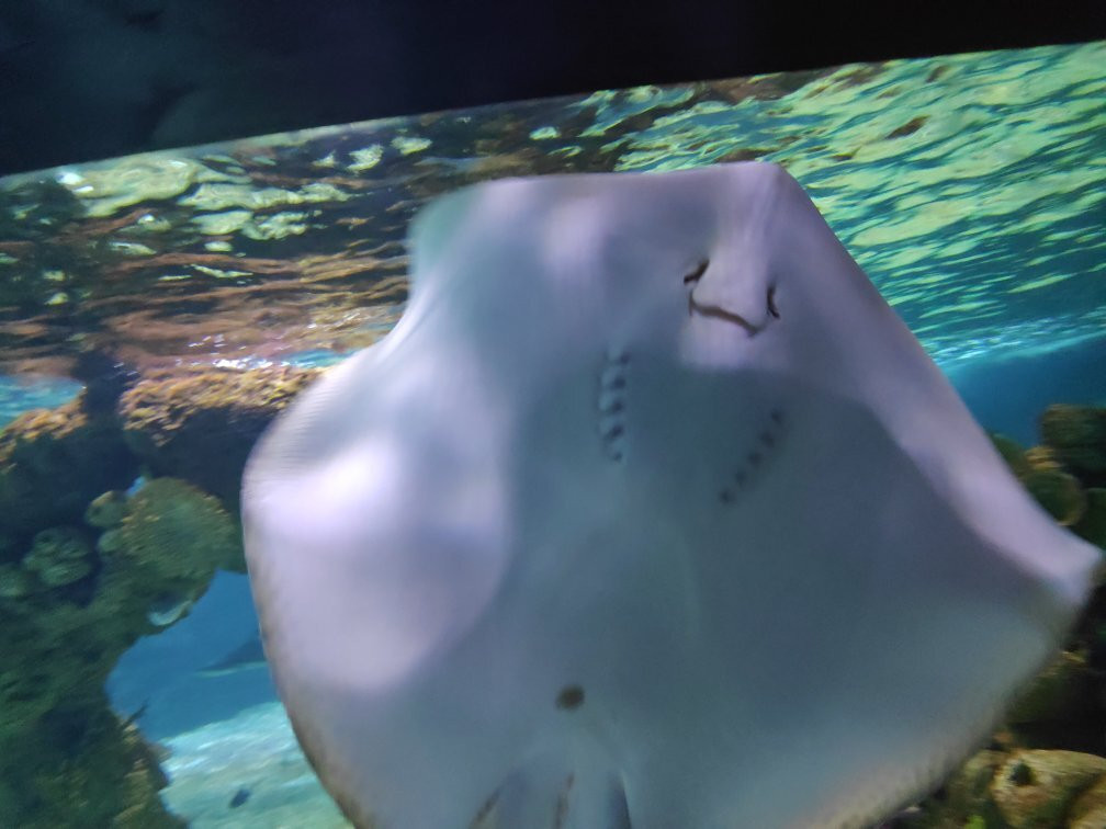 Israel Aquarium-耶路撒冷必去景点