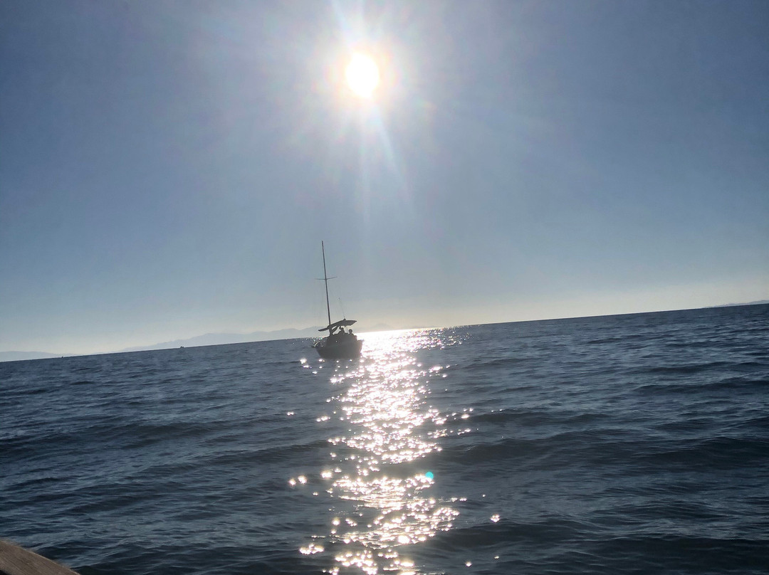 Cala Violina Boat Tour景点图片