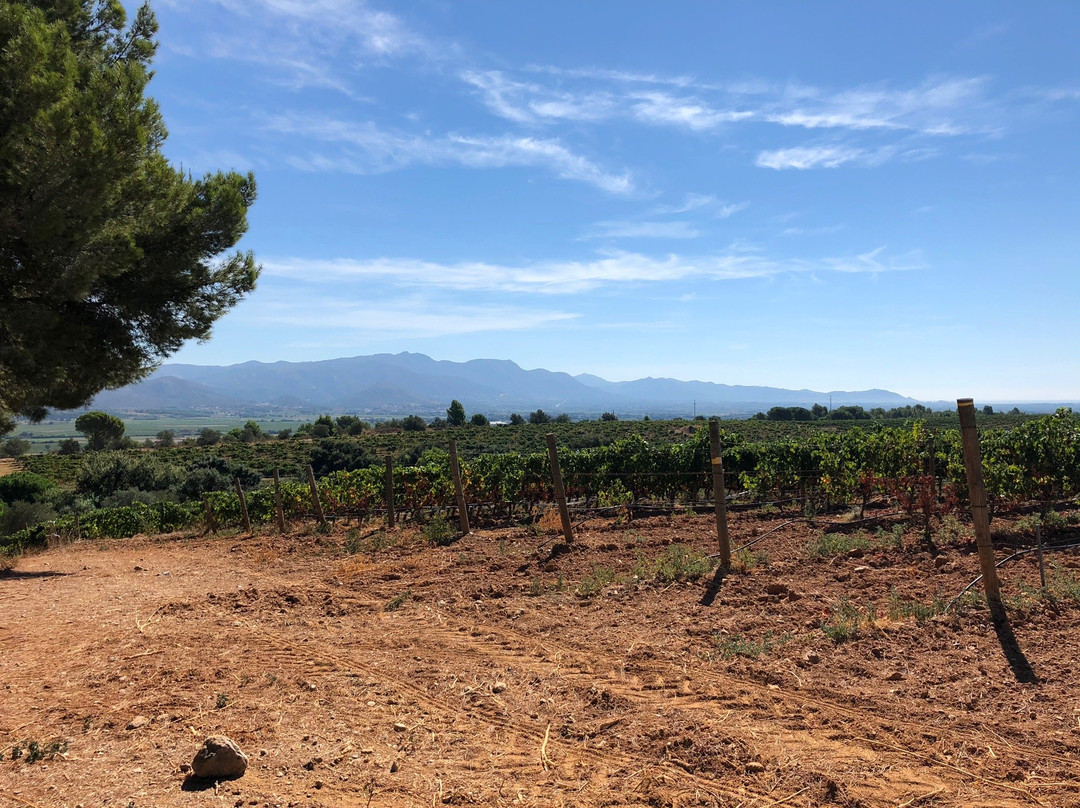 La Botiga del Celler-Peralada必去景点