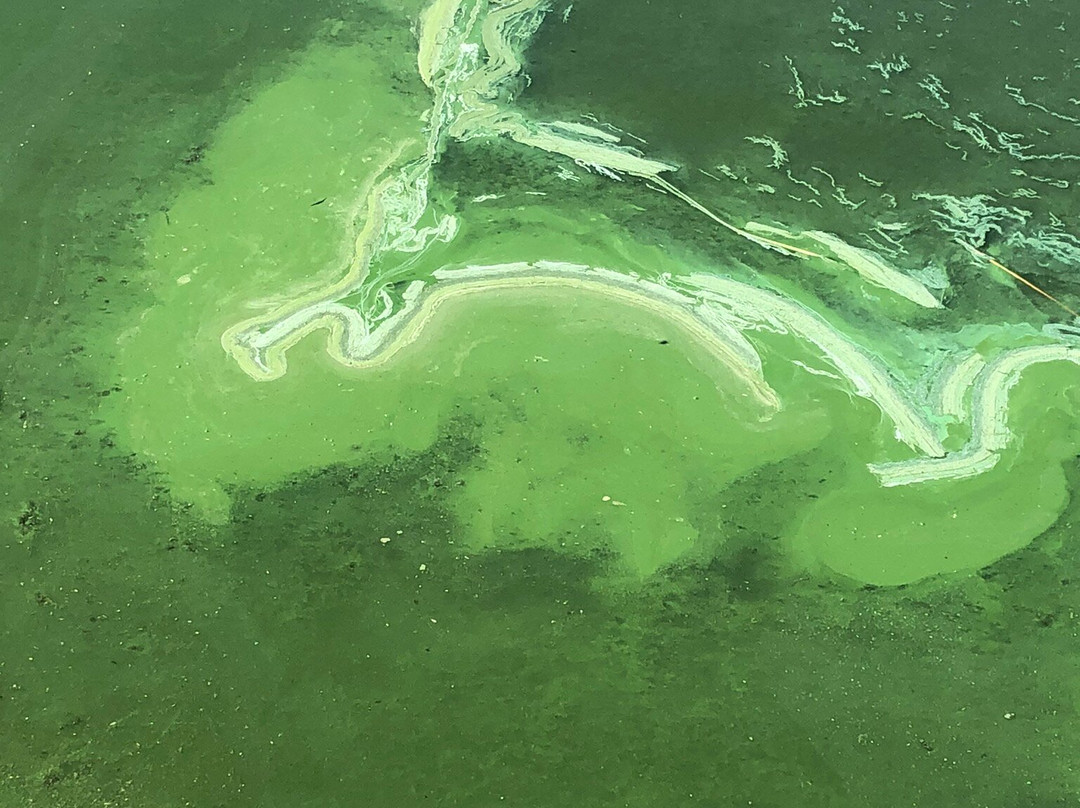 Stephenfield Provincial Park-Reston必去景点