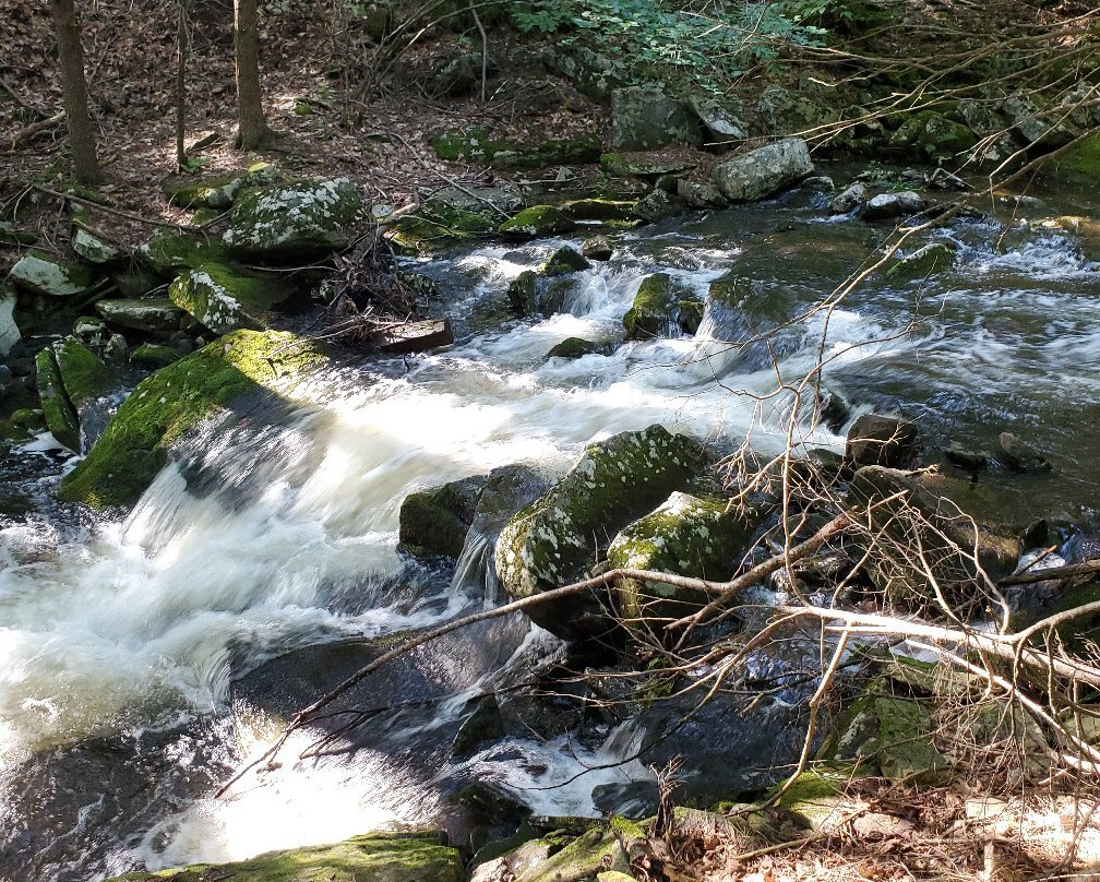 Kaaterskill Rail Trail景点图片