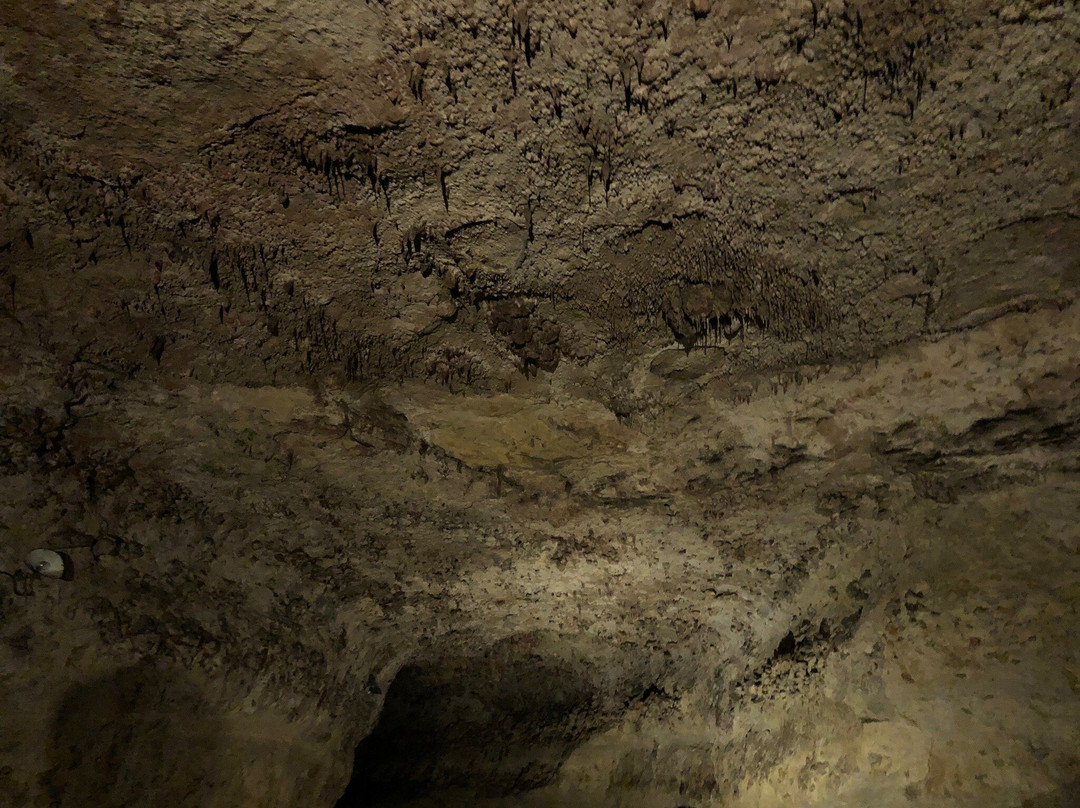 Grotte de Rouffignac景点图片
