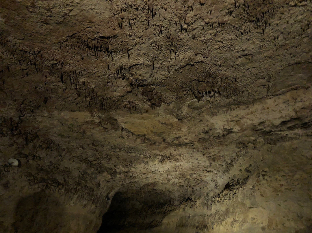 Rouffignac Cave景点图片