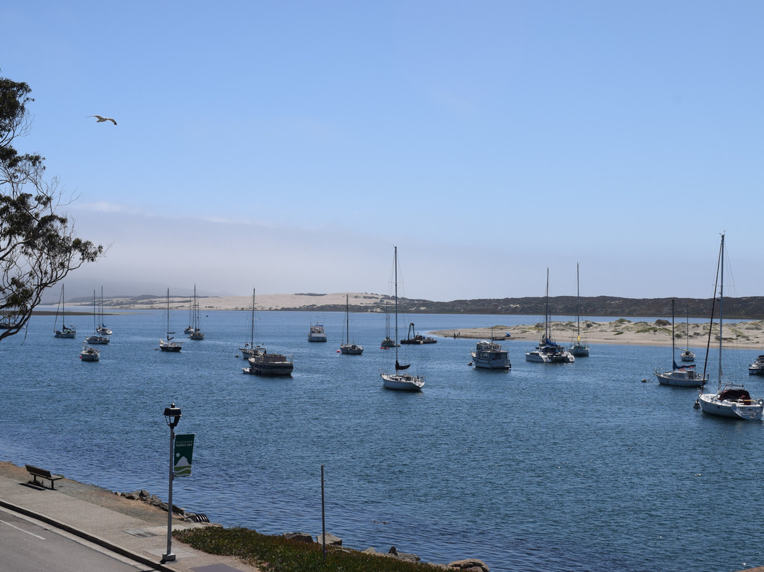 内河码头456号套房宾馆主图