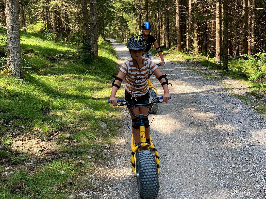 Monsterroller景点图片