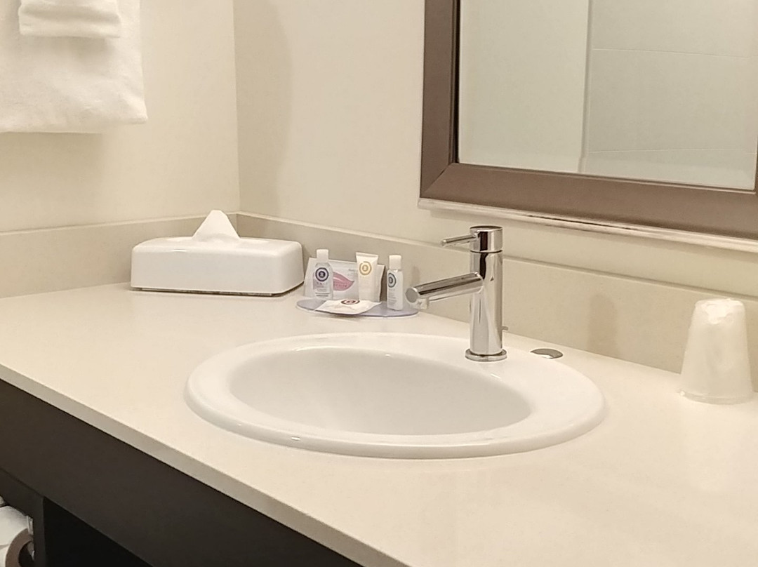 Comfort Inn & Suites Terrace主图