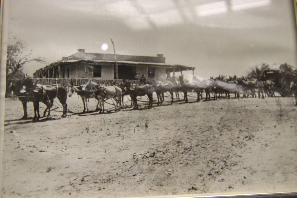 Gila Bend Visitor's Center and Museum-Gila Bend必去景点
