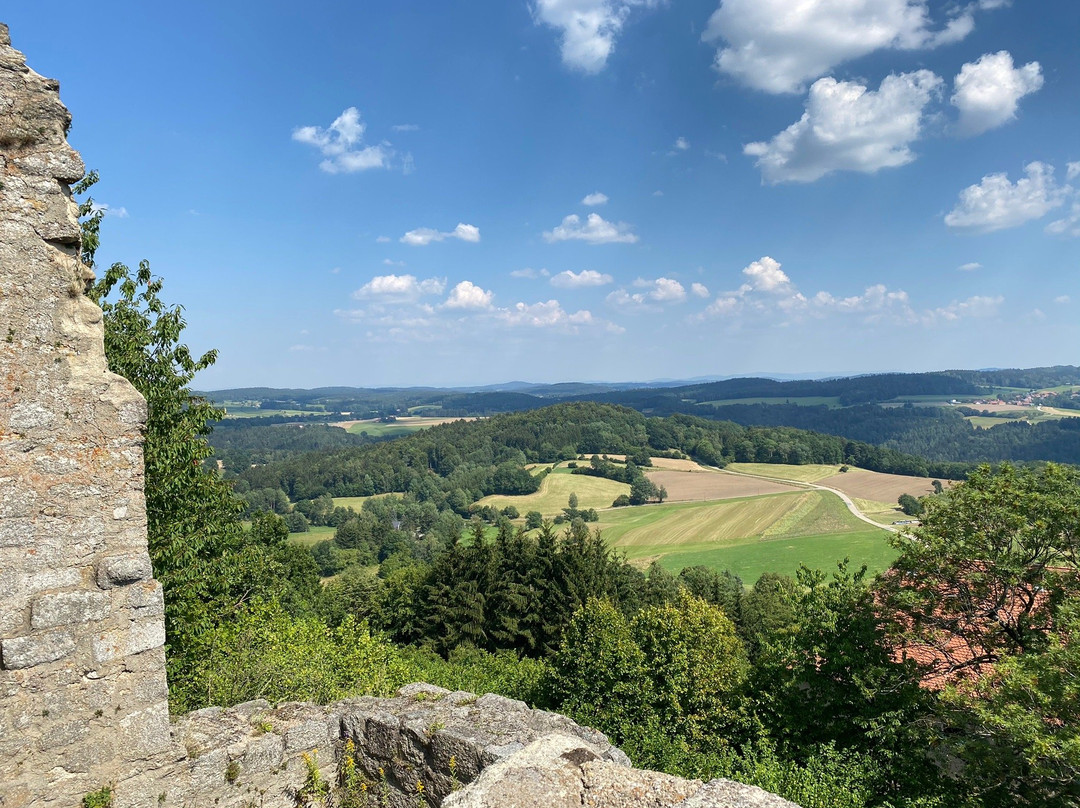 Burg Brennberg景点图片