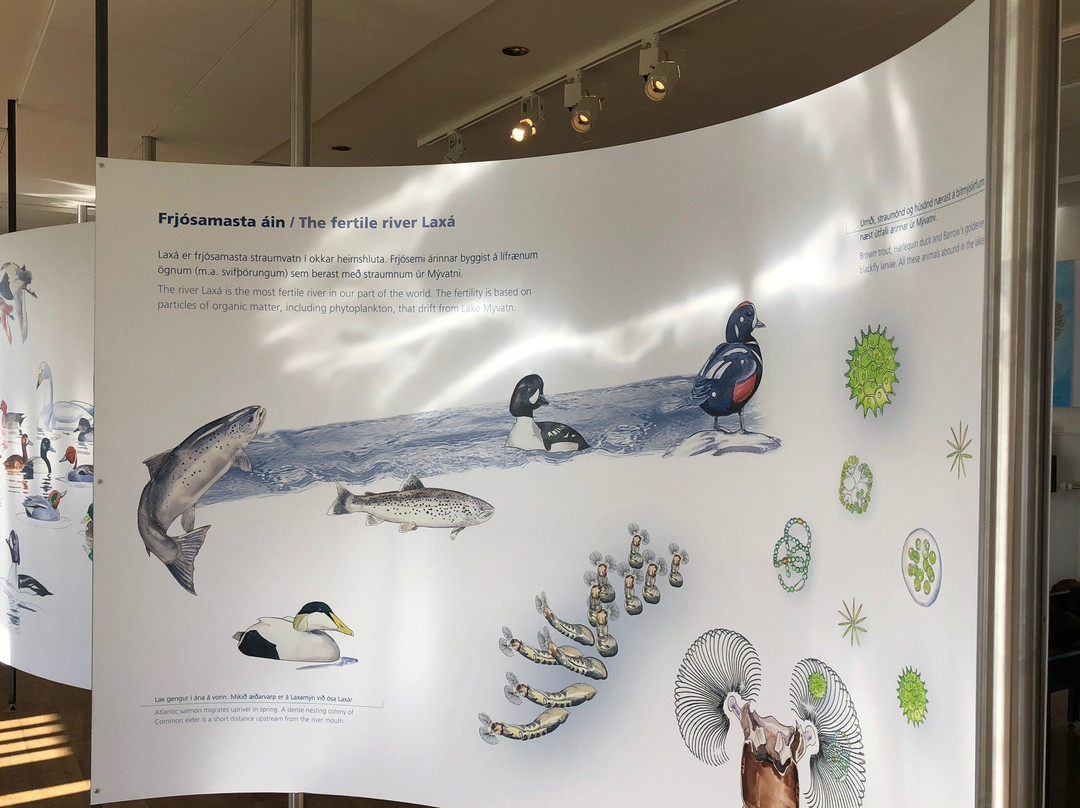 Myvatn Visitor Center-雷克雅里德必去景点