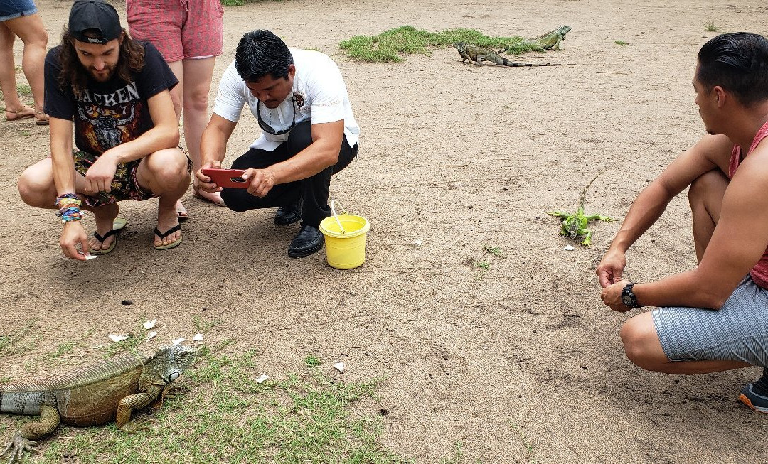Huatulco Tours Enrique-瓦图尔科必去景点