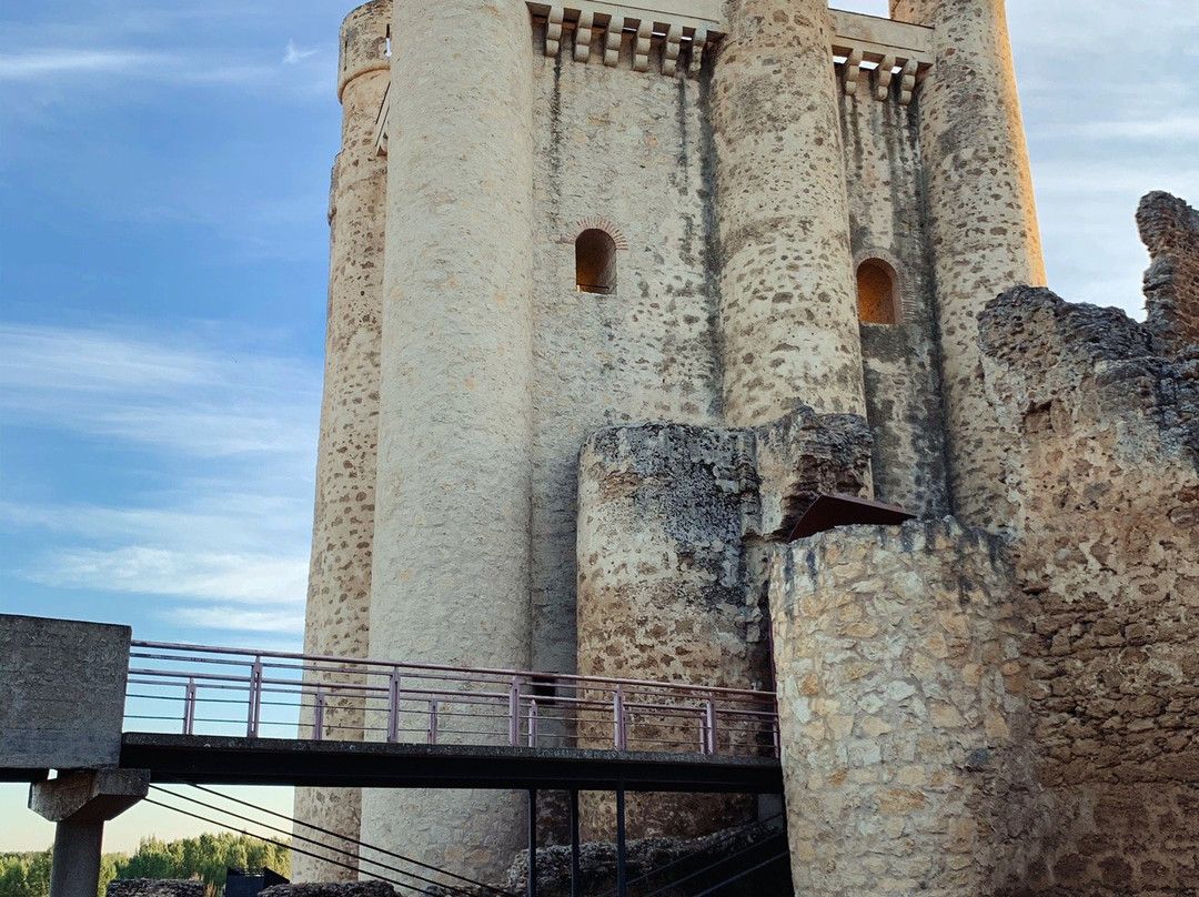 Castillo de Coyanza Valencia de Don Juan景点图片