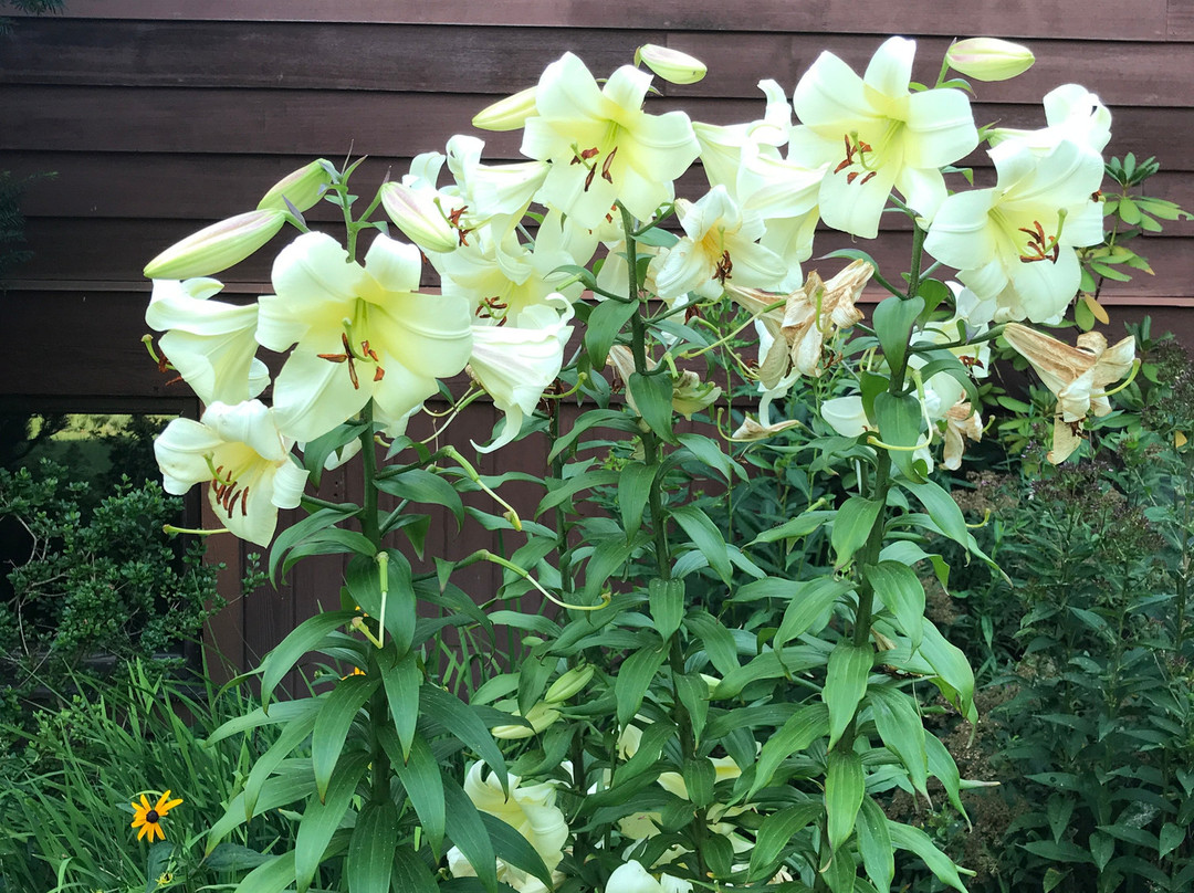 Brookton Hollow Farm Bed and Breakfast主图