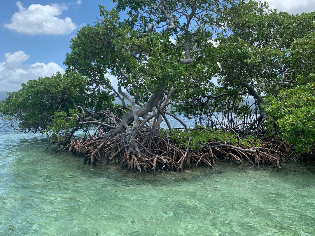 Ti-KATA CARAIBES景点图片