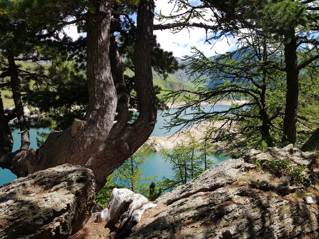 Lago Ritom景点图片