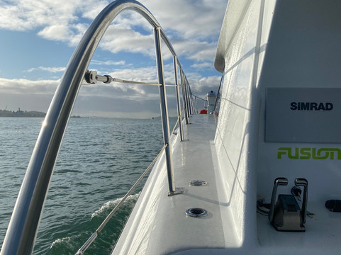 Savoy Charters-奥克兰中心地区必去景点