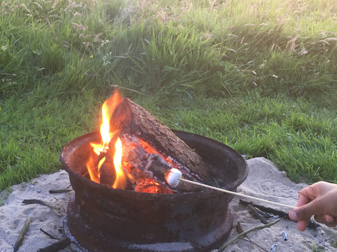 Whitstone旅游攻略图片