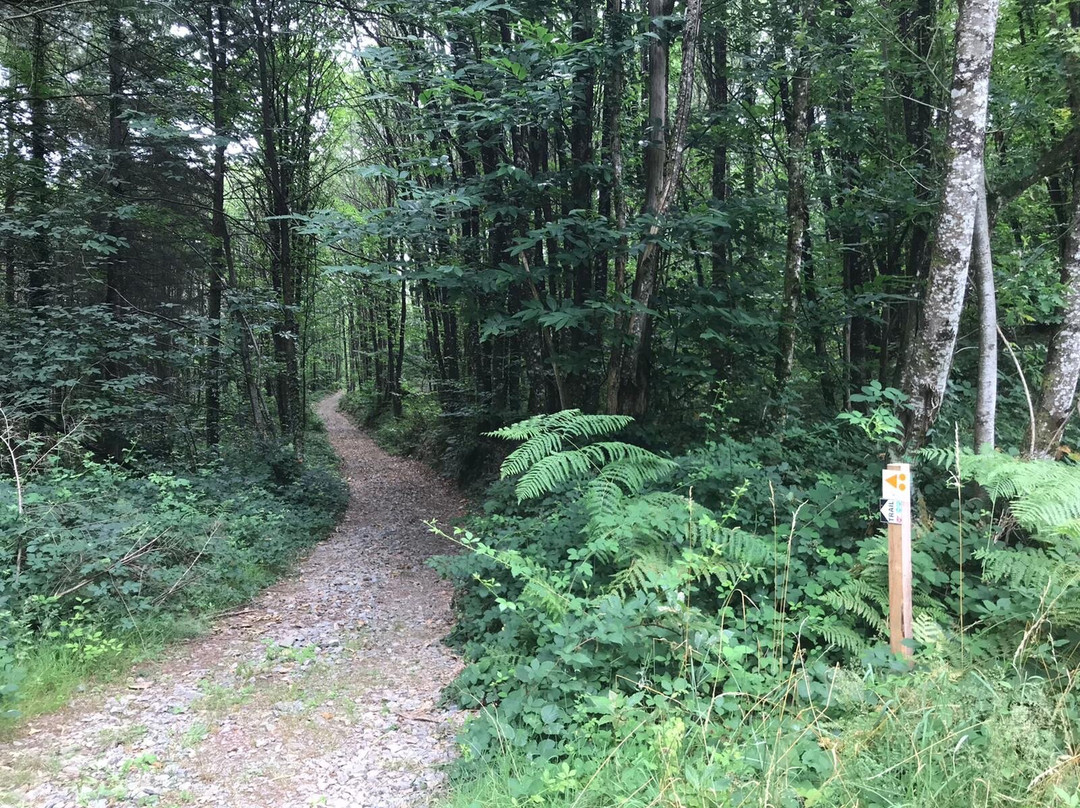 Univert Trail景点图片
