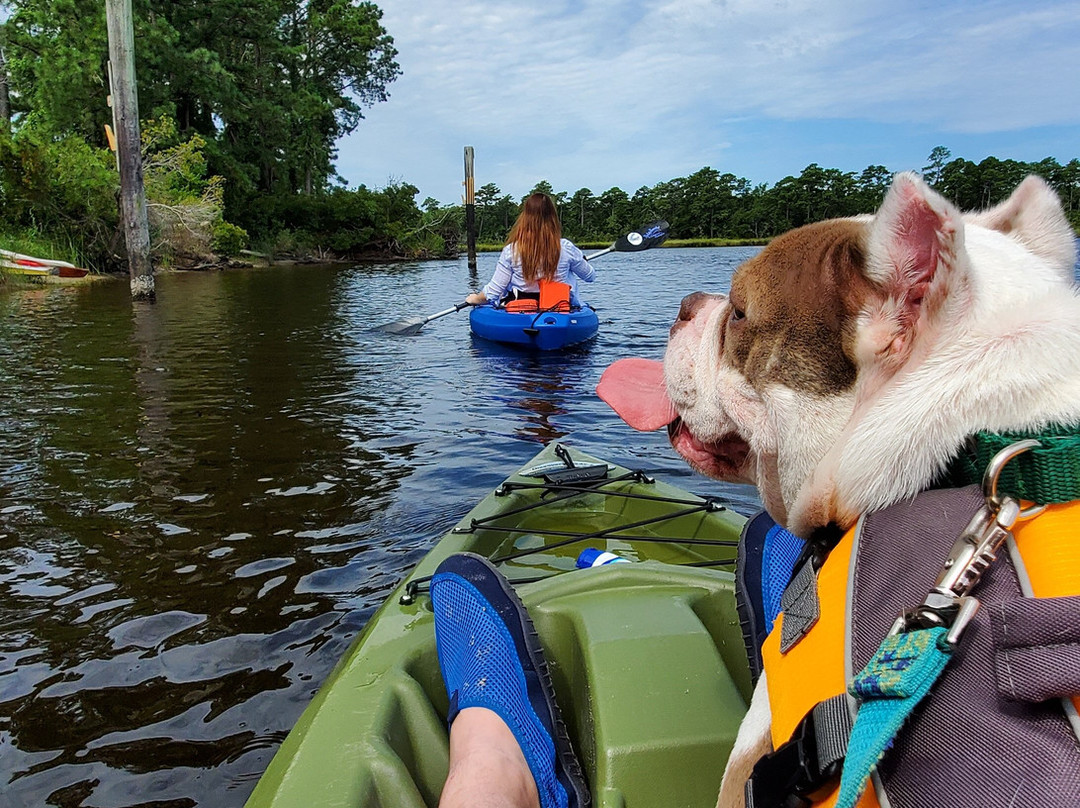 Stillwater Kayaks-新伯尔尼必去景点