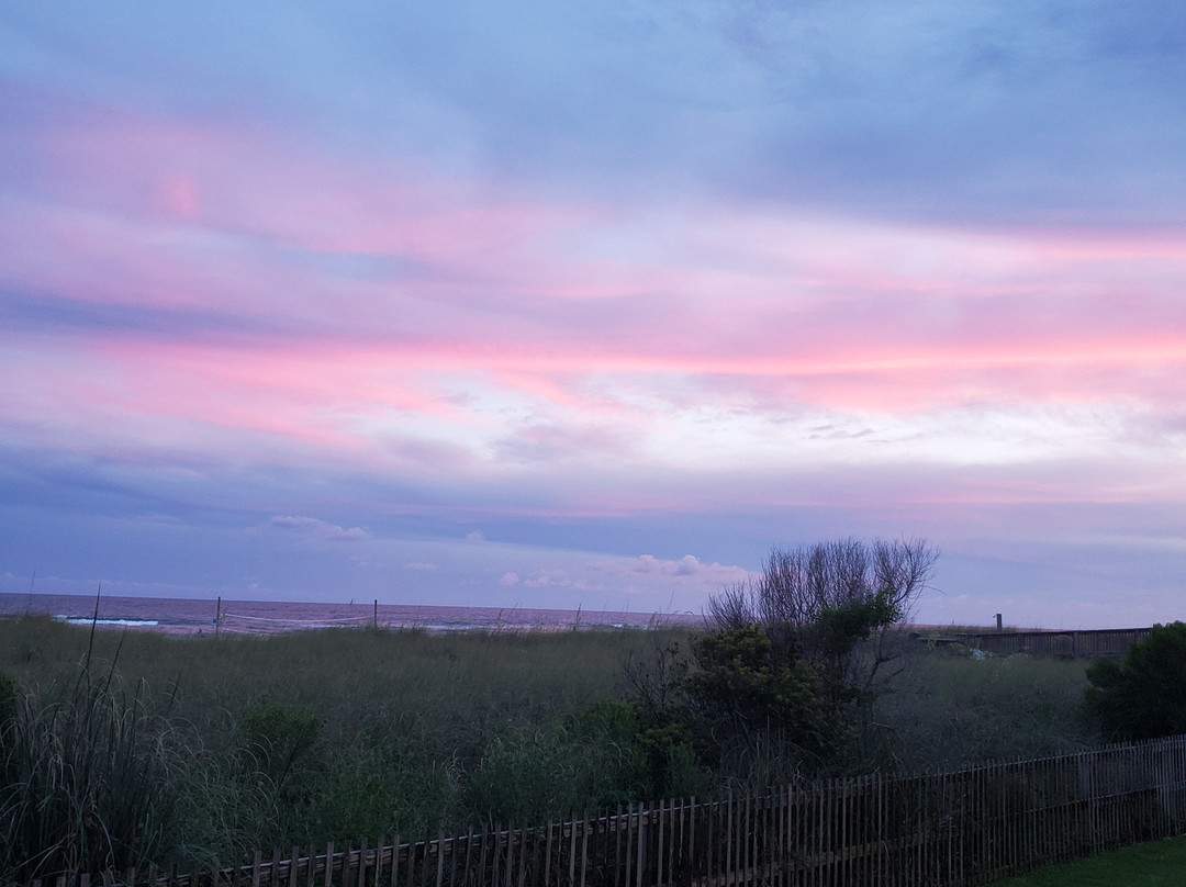 Needle Rush Point-Perdido Key必去景点