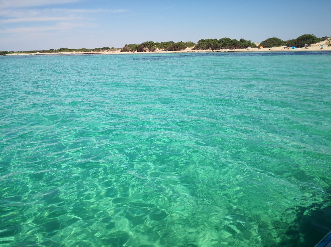 Vie del Mediterraneo - Tour Escursioni e Servizi Turistici nel Salento-切萨雷奥港必去景点