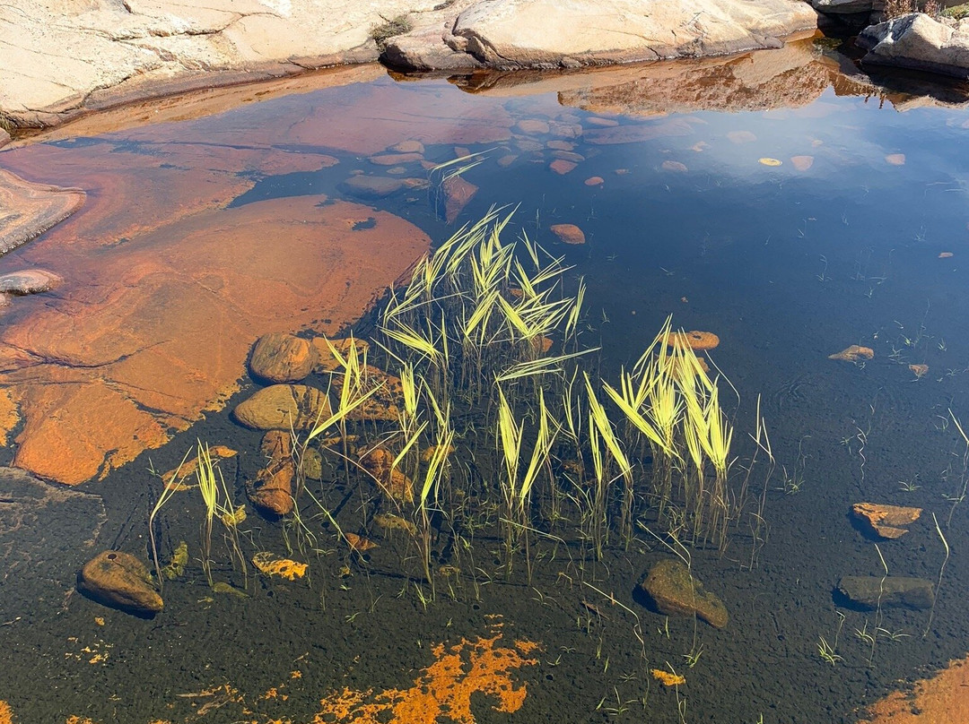 Tjurpannans Naturreservat景点图片